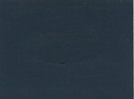 2002 GM Dark Regal Blue